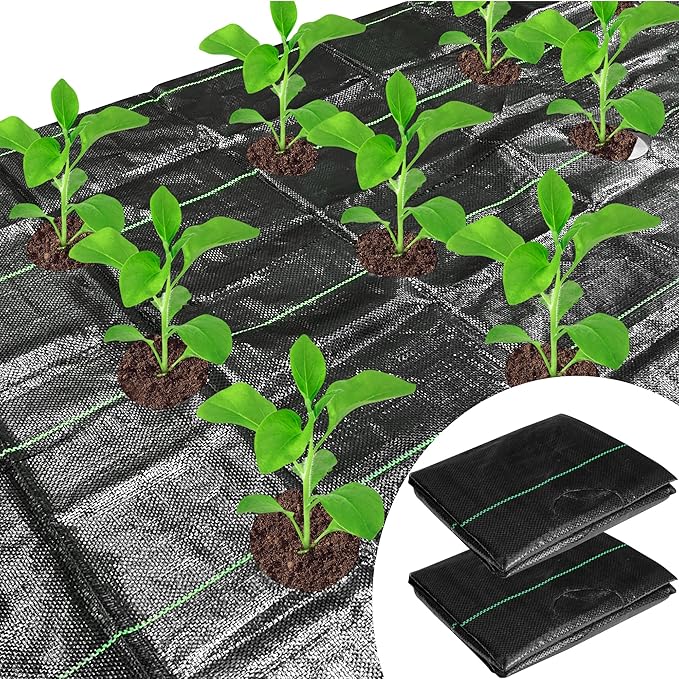 CODREE 2 Pcs Heavy-Duty Garden Weed Control Barrier - 33 x 3.3 Ft Landscape Fabric with Planting Holes - Weed Block Gardening Mat with 16 Ground Nails