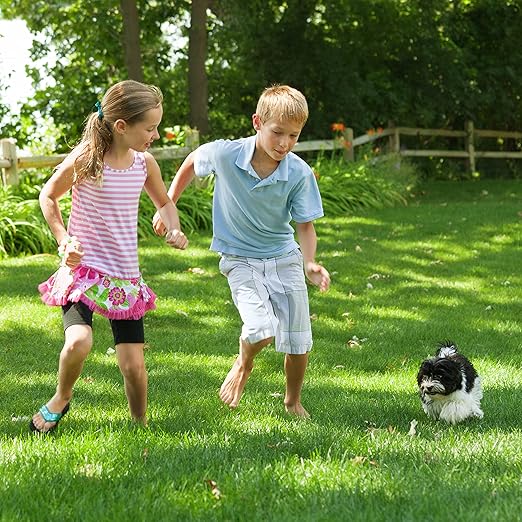 Purely Organic Products Lawn Food 10-0-2 15 LB (Covers 3000 Square Feet)