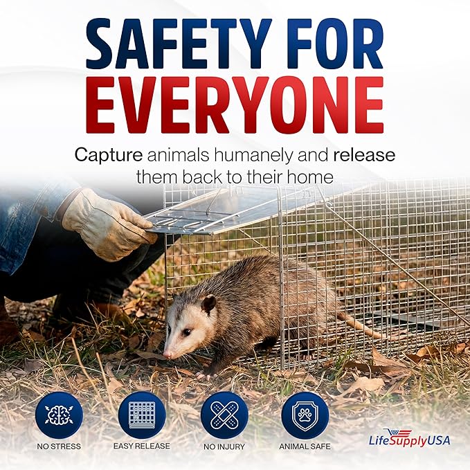 32 Humane Live Animal Trap Collapsible Heavy Duty Cage for Raccoon Possum Cat Trap for Stray Cats Armadillo Groundhog Skunk Squirrel &amp Rabbit Professional Catch &amp Release by LifeSupplyU