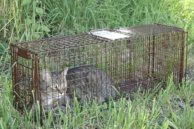 Tru Catch 30LTD Humane Live Animal Trap - Easy &amp Safe Catch &amp Release for Cats Rabbits &amp Other Small Animals - Durable Light Duty TNR - (30 L x 11 H x 9 W)