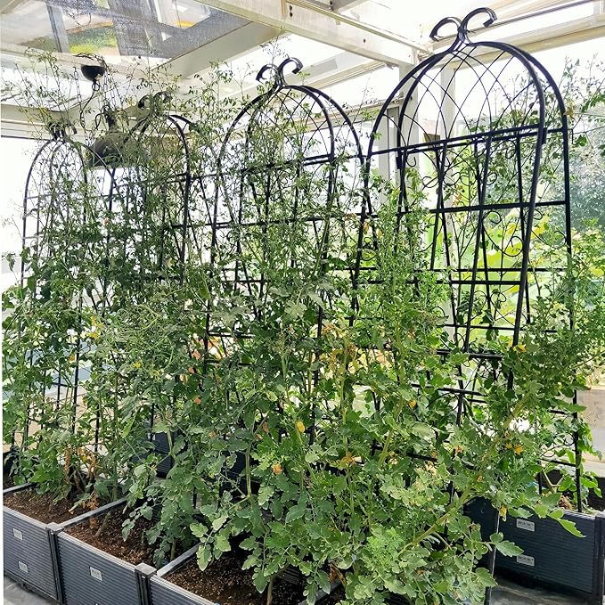 2 Pack Metal Garden Trellis 71 x 19.7 Rustproof Climbing Plant Support for Outdoor Flowers Vines Peas and Vegetables Black