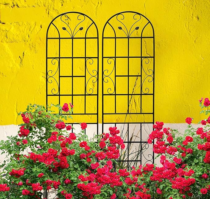 2 Pack Large Garden Trellis Heavy Duty Rustproof Iron Plant Trellis for Potted Plant Support Metal Climbing Rose Trellis Vine Vegetable CucumberBlack-86.7 H x 19.7 W