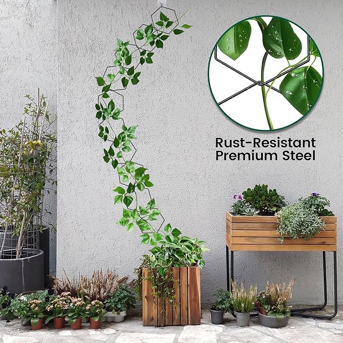 Trellis for Climbing Plants Indoor &amp Outdoor Pothos Plant Climber Support with Connect-Hooks18pcs DIY House Plant Accessories for Ivy Hoya Pothos FlowerGarden Plant Wall Trellis Gift - Hexagons