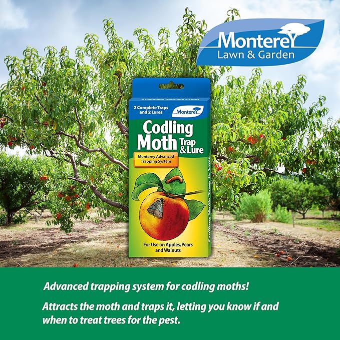 Monterey Codling Moth Trap &amp Lure - Organic Pesticide-Free Fruit &amp Nut Tree Control for Apples Pears Walnuts and Quince