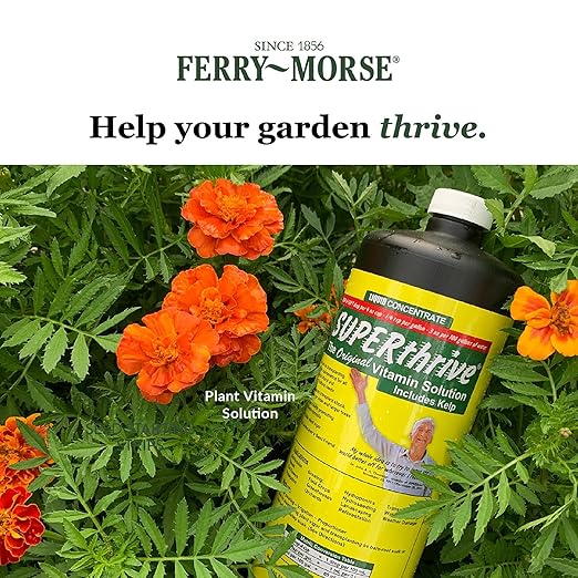 SUPERthrive 5 Gallon (1/Cs)