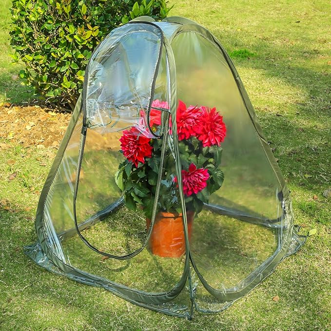 Plant Tent Outdoor Winter Plant Greenhouse with 4 Fixed NailsTransparent Mini Small Grow Plant House Tent Gardening Flowerpot Warm Room Greenhouse Cover for Cold Frost Protector Gardening Plant