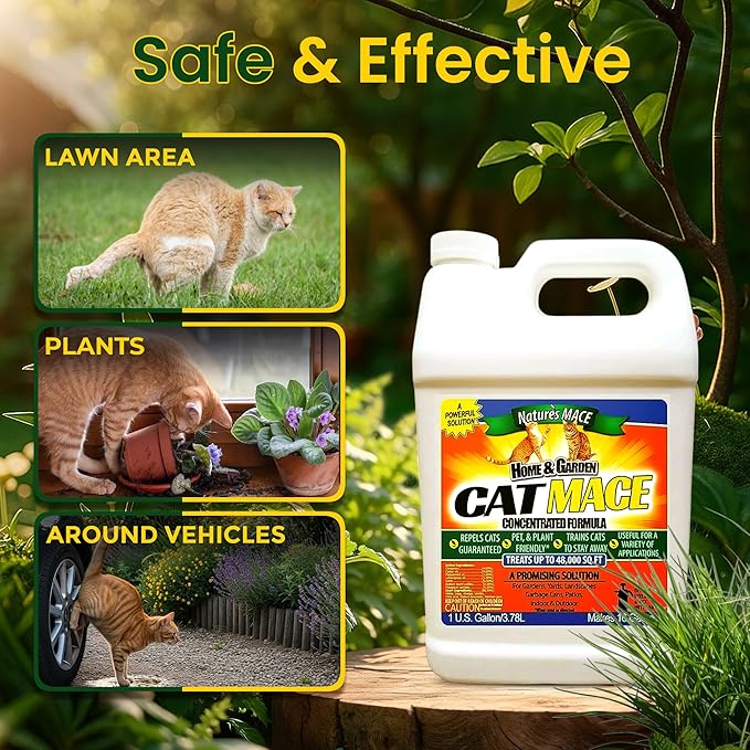 Nature's MACE Cat Mace Cat Repellent Training Liquid Deterrent Tool Makes 16 Gallons Keep Out of Lawn &amp Garden Large Areas Outdoor &amp Indoor Use Yards Landscaped Plants 1 Gallon Concen