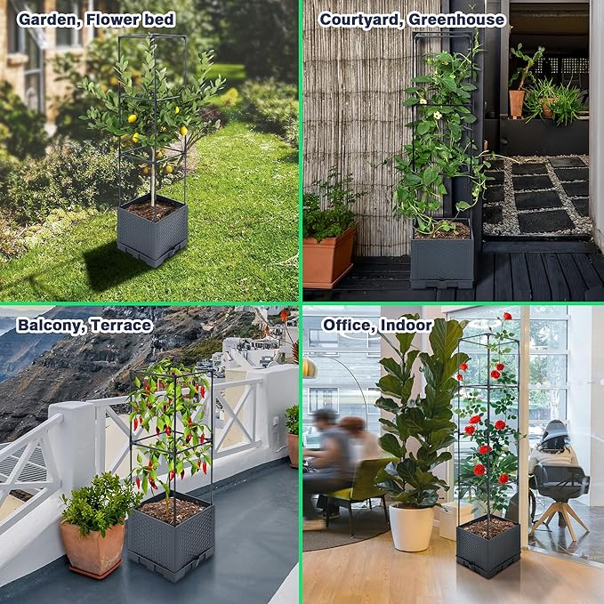 Raised Garden Bed Planter Box 1 Pack 56 Self-Watering Tomato Planter with Trellis for Climbing Vegetables Plants Grape Fruit FlowersUse for Indoor Outdoor Garden Patio