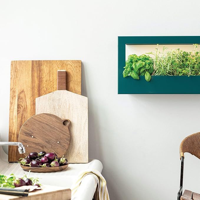 Modern Sprout Smart Landscape Growframe Wall Mounted Planter with LED Grow Light -Emerald