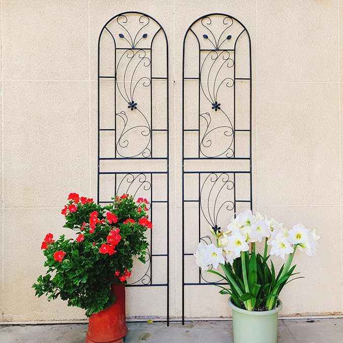 2 Pack Metal Garden Trellis 86.7 x 19.7 Inches Rustproof Black Peacock Style Support for Climbing Plants Roses Ivy Cucumbers Beans and Peas