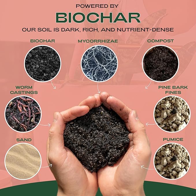 Rosy Soil Biochar Booster 8qt + Cactus &amp Succulent Potting Mix 4qt Organic Indoor Living Soil Bundle - Peat-Free Fast Draining Mix with Mycorrhizae Worm Castings &amp Biochar for Healthy Root G