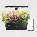 LetPot LPH-Lite Hydroponics Growing System 12 Pods Smart Herb Garden Kit Indoor Indoor Garden APP &amp WiFi Controlled with 24W Growing LED 5.5L Water Tank Pump System Automatic Timer