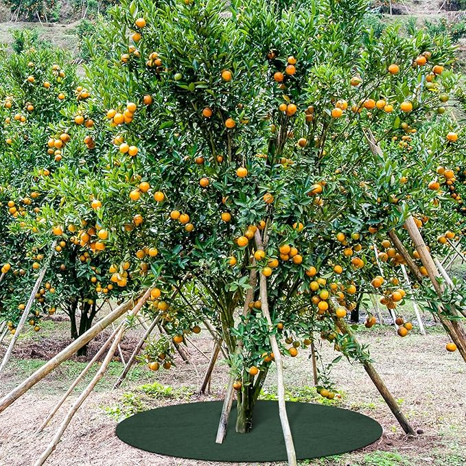 Shimeyao 16 Pcs 32. 2 Inch Non Woven Tree Mulch Ring Round Tree Weed Barrier Mat Reusable Landscape Protector Base Barrier Fabric for Weed Root Protection (Green)