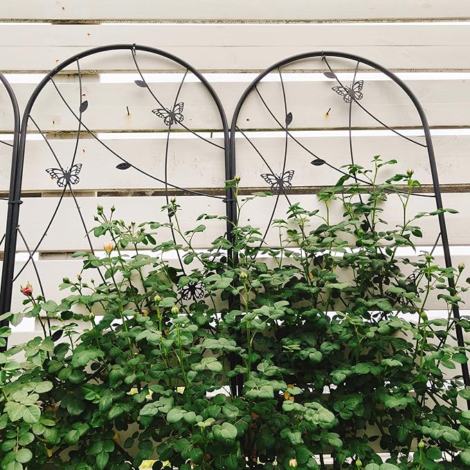 2 Pack Large Garden Trellis Heavy Duty Rustproof Iron Plant Trellis for Potted Plant Support Metal Climbing Rose Trellis Vine Vegetable Cucumber Black -86 H x 19.7 W