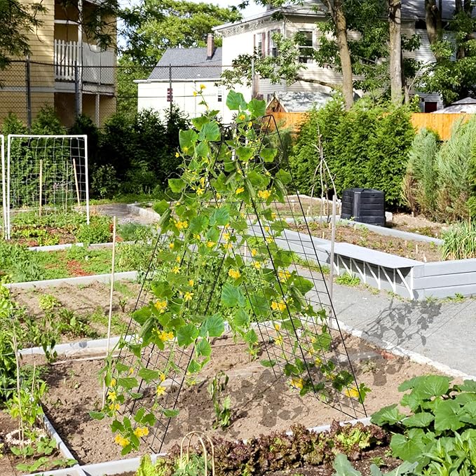 S AFSTAR 46 x 34 Inch Cucumber Trellis for Garden 8 PCS Foldable A-Shape Plant Support W/18 Clips 16 Ground Stakes 8 Spiral Connectors 12 Cable Tie Twist Tie Garden Trellis for Climbing Plants