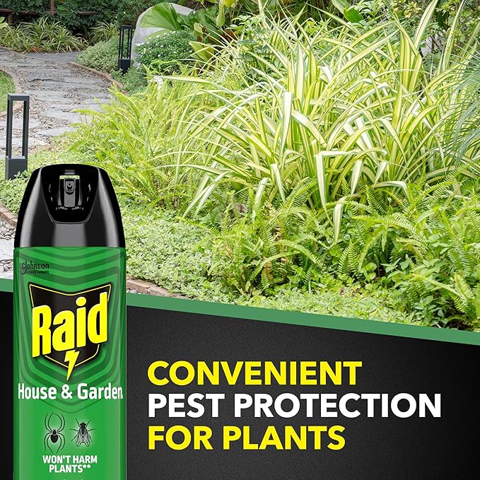 Raid House &amp Garden Insect Killer Spray Orange Scent 11 Ounce (Pack of 12)