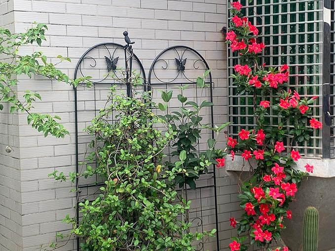 Metal Garden Trellis 2 Pack Metal for Climbing Plants IndoorOutdoor Plant for Potted Plants House Plants Climbing Vines Flowers and Vegetables Lawn Garden Fence Decor Screen Bl
