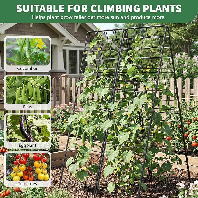 2 Pack Cucumber Trellis 71 High Foldable A-Frame Garden Trellis for Raised Bed Garden Grow Support with Plant Support Clips Ties for CucumberTomato Climbing Plants and Flowers