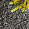 Lava Rocks for Plants (3/8’’ Minus) Natural Black Lava Rocks Succulent &amp Terrarium Horticultural Volcanic Rock Ideal Drainage for Potted Plants Made in USA (5 qts - 9 lbs)