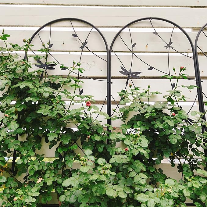2 Pack Metal Garden Trellis 86.7 x 19.7 Rustproof Trellis for Climbing Plants Outdoor Flower Support Dragonfly Deco Black