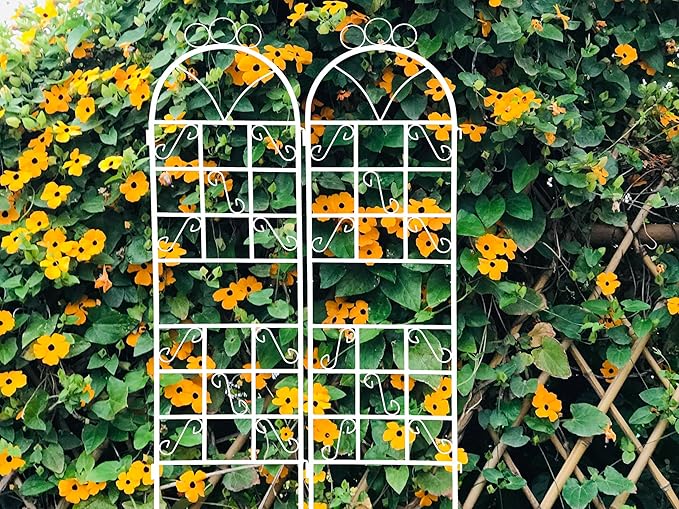 1Set (2pcs) Metal Garden Trellis for Climbing Plants Outdoor Rustproof Plant Support -Ceramic whiteware