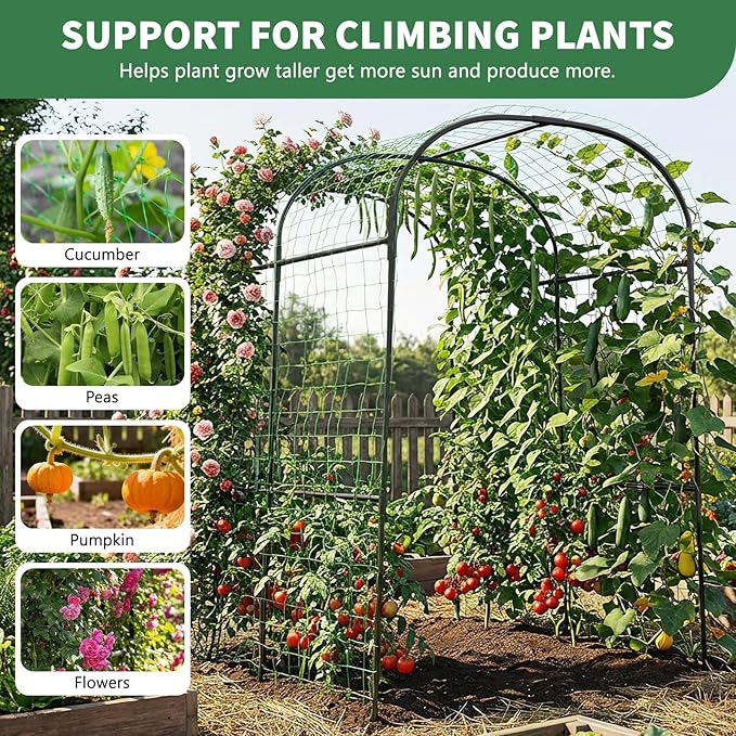 Tall Garden Arch Trellis for Climbing Plants 83in Tall Metal Plant Support Trellis Archway for Climbing Plant Vegetables Cucumber Outdoor Yard Lawn Garden Arch Tunnel Trellis