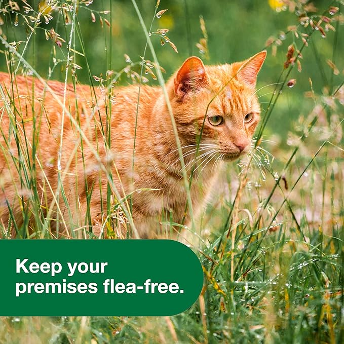 Advantage Yard &amp Premise Spray | Kills Fleas &amp Ticks &amp More | 32 oz.