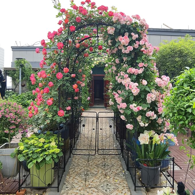 Metal Garden Arch with Two Plant Stands 79.5'' Wide x 86.6'' High Climbing Plants Support Rose Arch Outdoor Black