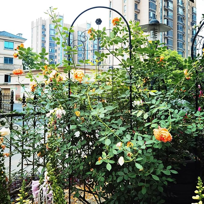 4 Pack Metal Garden Trellis for Climbing Plants Outdoor H86.7'' x W 19.7'' Rustproof Cucumber Trellis Plant Support Rose Trellis Flower Stand Netting Trellis Black