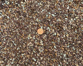 Mixed Akadama Cactus &amp Succulent Soil w/Lava Maifan &amp Zeolite - Small 2.5 quarts