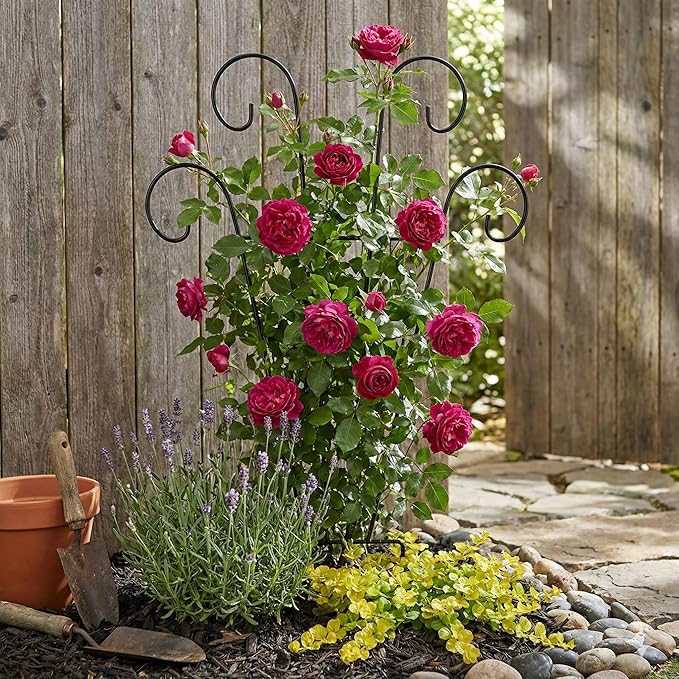 2 Pack 24' Taller Plant Trellis for Potted Climbing Plants IndoorExpandable Metal Garden Trellis for Climbing PlantsFlowers Vine Ivy Sturdy Houseplant Support for Potted Plants with Ties