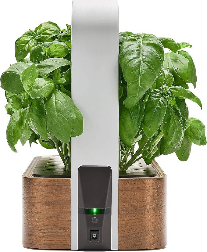 EDN SmallGarden with Basil SeedPods Indoor Grow Smart Garden for iOS Devices - Fresh Home Grown Herbs Plants and Flowers - Grow up to 10 Different Plants at Once