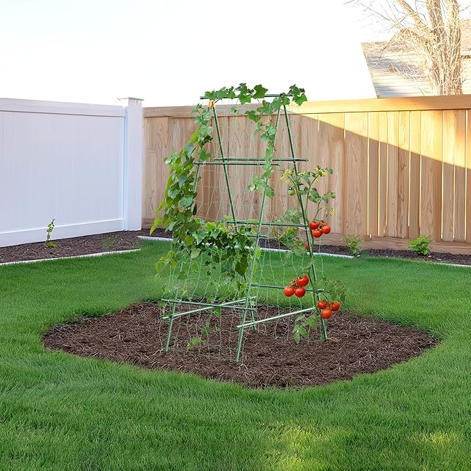HIRALIY A Frame Cucumber Trellis for Climbing Plants Outdoor 57 x 31 Heavy Duty Metal Garden Trellis Rustproof Plant Support for Tomato Grape Bean Raised Bed and Vegetable Gardens Green