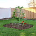 HIRALIY A Frame Cucumber Trellis for Climbing Plants Outdoor 57 x 31 Heavy Duty Metal Garden Trellis Rustproof Plant Support for Tomato Grape Bean Raised Bed and Vegetable Gardens Green
