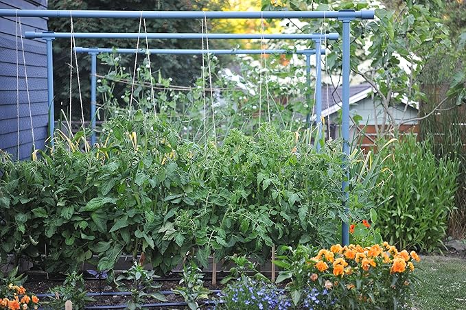 Seattle Urban Farm Company - Freyr Trellis - Vegetable Garden Trellis for Tomatoes Cucumbers Beans Peas and More