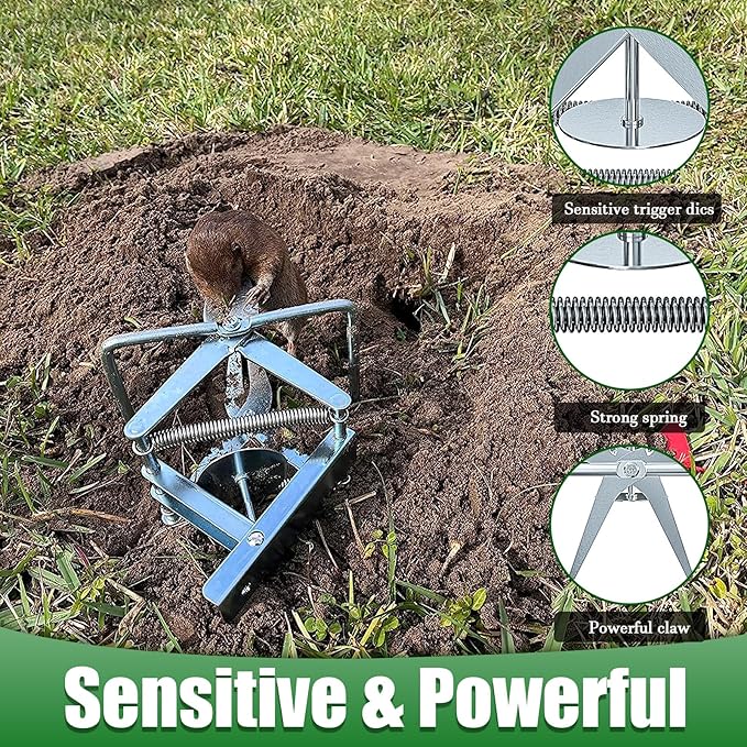 2 Pack Mole Traps That Kill Best Vole Traps Outdoor Use Scissor for Lawns Mole Trap Easy to Set Galvanized Steel Reusable Quick Capture Gopher