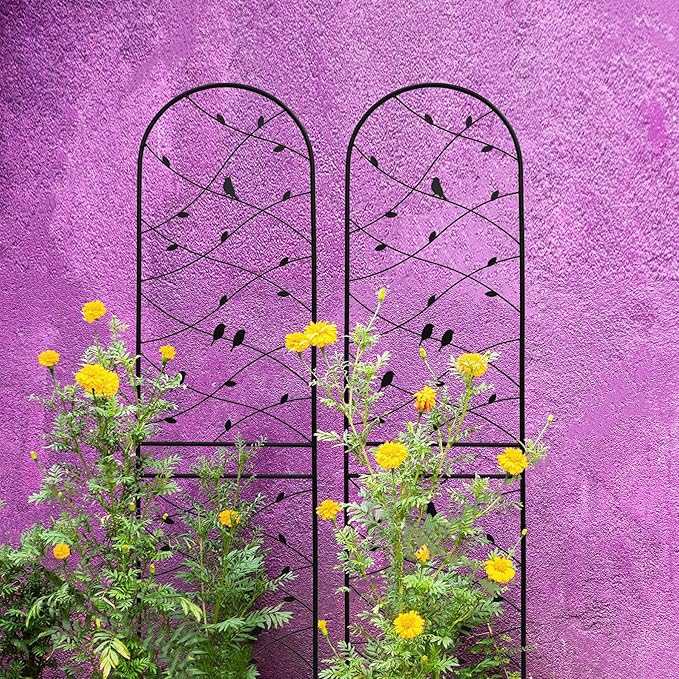4 Pack Large Garden Trellis Heavy Duty Rustproof Iron Plant Trellis for Potted Plant Support Metal Climbing Rose Trellis Vine Vegetable Cucumber Black -86 H x 19.7 W