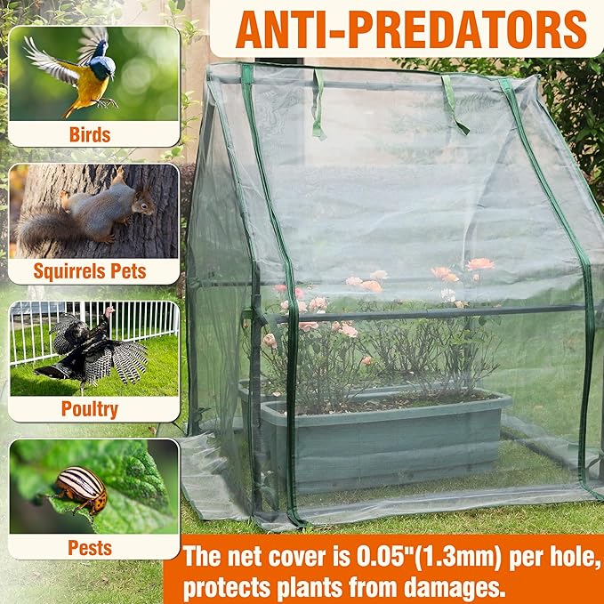 Gardzen Mini Greenhouse with Mesh Cover Portable Outdoor Greenhouse Enhanced Ventilation Ideal for Spring Summer &amp Fall 36.2(L) x36.2(W) x42.5(H)