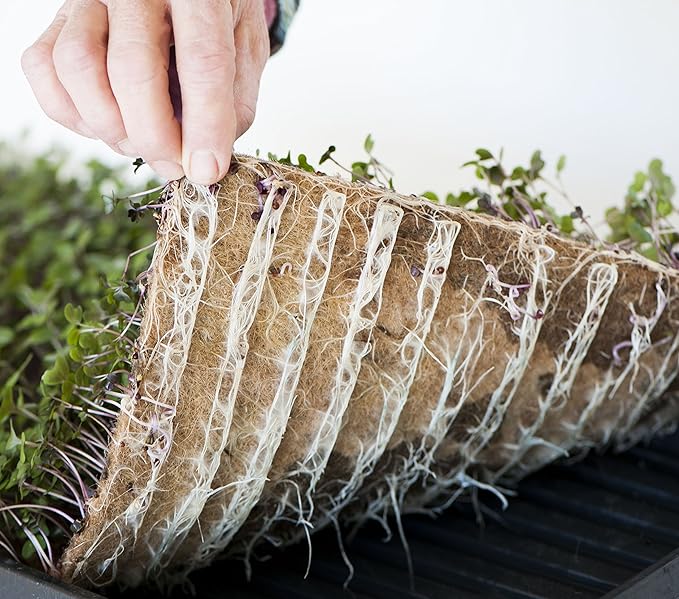 GreenEase 10x20 Jute Microgreens Hydroponic Grow Pads - 10 Pack Fits 10x20 Standard Nursery Tray. Grow Nutritious Organic Microgreens Wheat Grass Plant and Seed Germination. Organic Use Certified.
