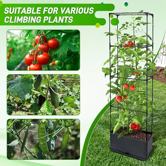 2 Packs Raised Garden Bed Tomato Planter Box with Trellis 55.2 Self-Watering Tomato Cage with Rectangular Trellis for Climbing Plants Flowers Vegetables Vine in Patio Garden Indoor Outdoor