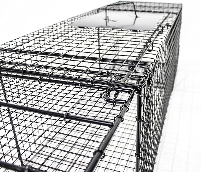 Humane Way 38 Inch Live Humane Animal Trap - Safe Traps for All Animals - Raccoons Cats Groundhogs Opossums - 35x11x11