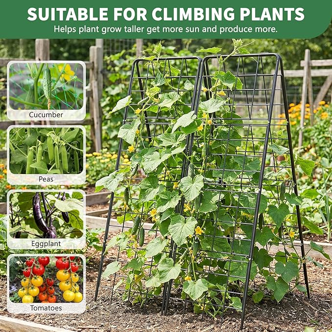2 Pack Cucumber Trellis 59 High Foldable A-Frame Garden Trellis for Raised Bed Garden Grow Support with Plant Support Clips Ties for CucumberTomato Climbing Plants and Flowers