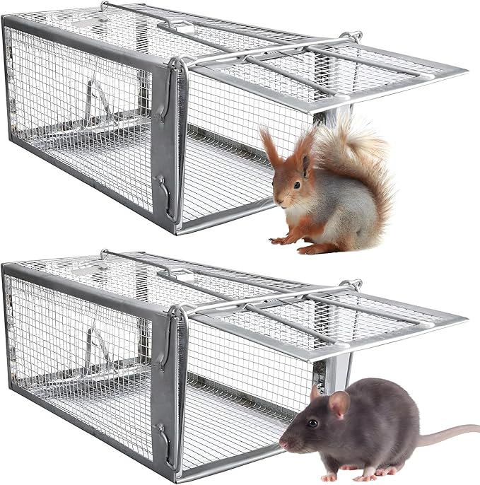 Humane Rat Traps 2-Pack No Kill Small Animal Cage Trap Live Mouse Trap Cage Catch and Release Trampa para Ratones Chipmunk Rodent Trap That Work for Indoor and Outdoor - 12.3 L x 6.5 W x 5.3 H