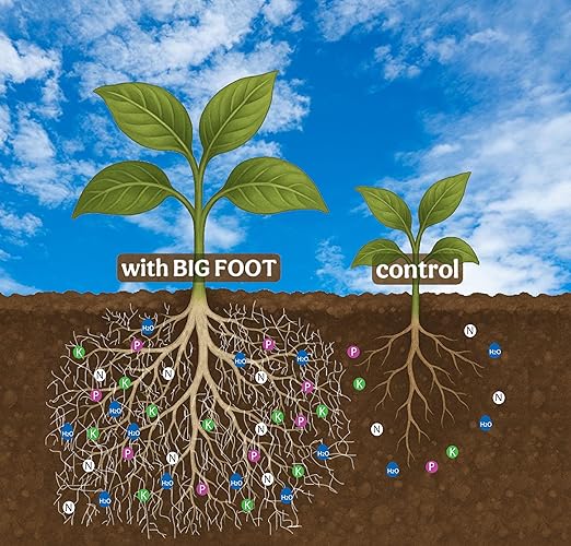 Big Foot Gold Mycorrhizal Fungi 5 lbs Beneficial Bacteria for Plant Growth Root Stimulator Super Concentrated 3-in-1 Formula for All Plants