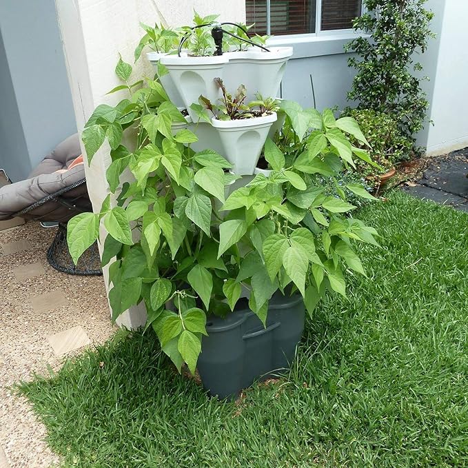 Mr. Stacky Smart Farm - Automatic Self Watering Garden - Grow Fresh Healthy Food Virtually Anywhere Year Round - Soil or Hydroponic Vertical Tower Gardening System (Standard Kit Stone)