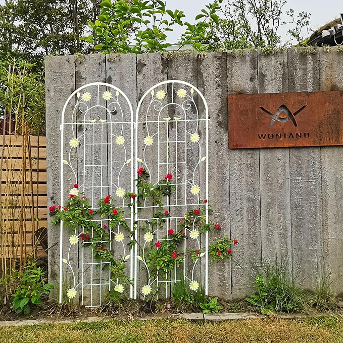 4 Pack Metal Garden Trellis 71 x 19.7 Rustproof Trellis for Climbing Plants Outdoor Flower Support Cream White