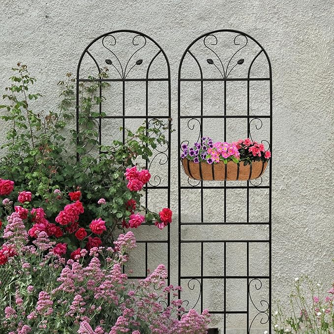 2 Pack Large Garden Trellis Heavy Duty Rustproof Iron Plant Trellis for Potted Plant Support Metal Climbing Rose Trellis Vine Vegetable CucumberBlack-86.7 H x 19.7 W