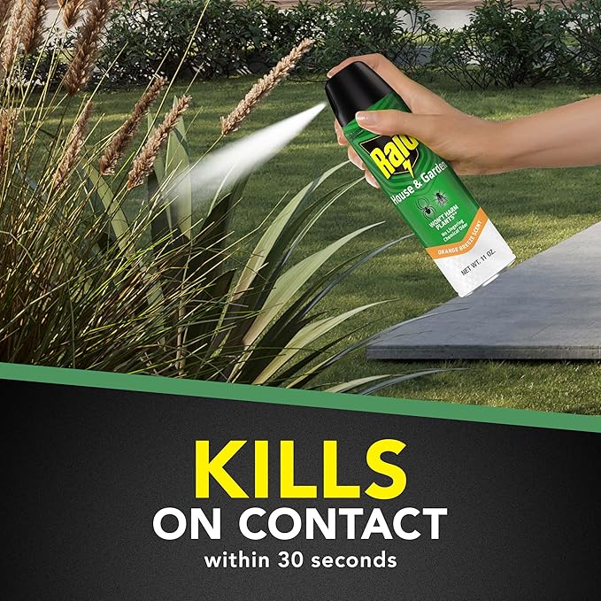 Raid House &amp Garden Insect Killer Spray Orange Scent 11 Ounce (Pack of 4)