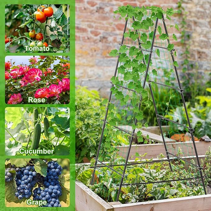 Garden Trellis for Climbing Plants 71 H x 32 W Metal A-Frame Cucumber Trellis Outdoor Fruits Watermelon Plants Vegetable Tomato Squash Peas Beans with Netting Black