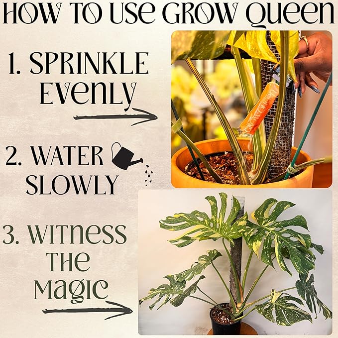 Plant Health Full Transplant Starter Kit